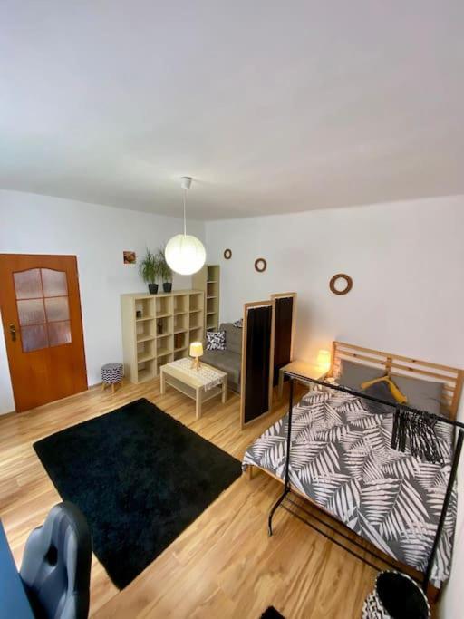 Starowislna 66 Apartman Krakkó Kültér fotó